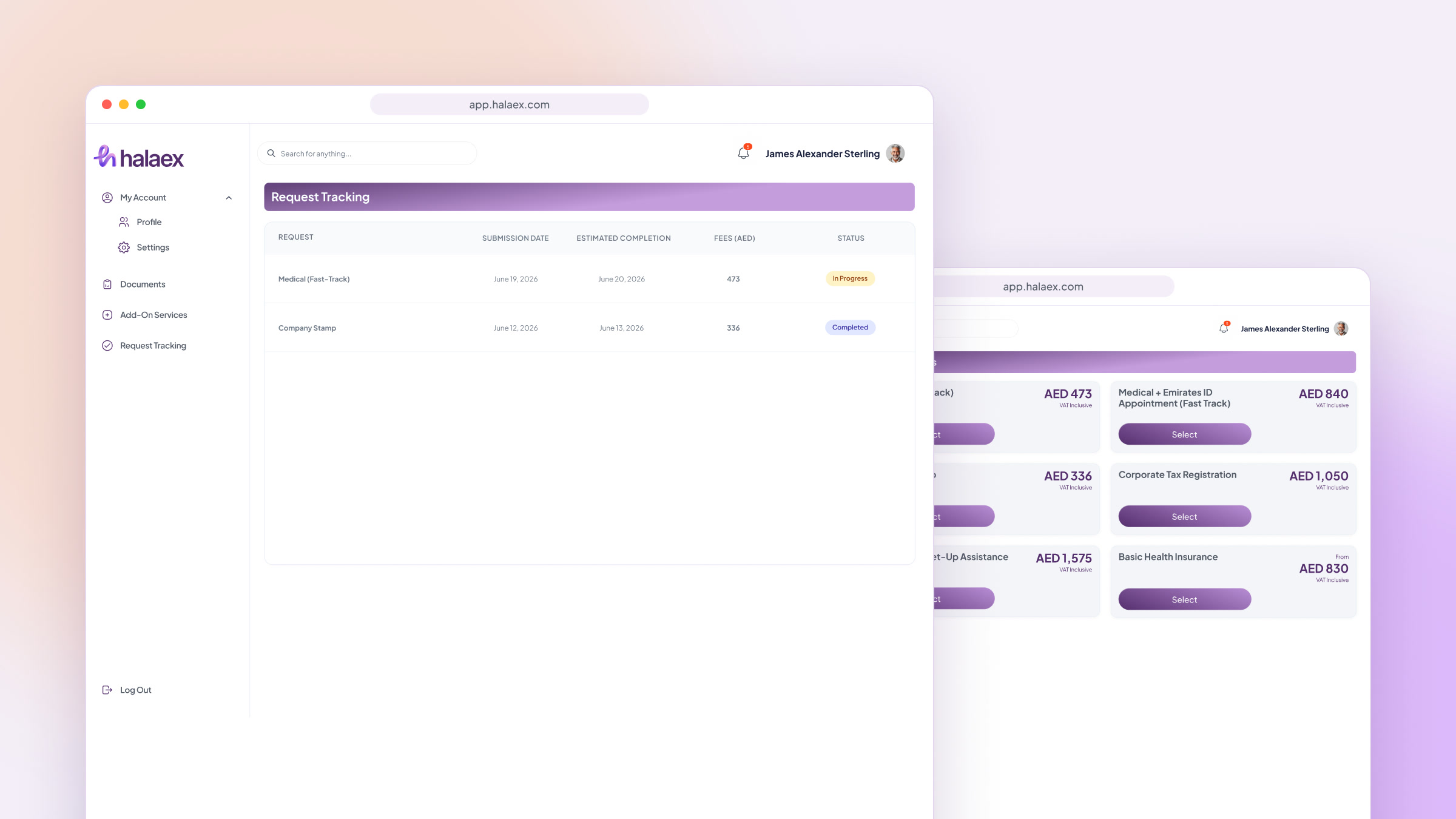 Business setup request tracking and add-on services